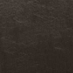 Kimonte Dining Chair - Furniture 4 Less Outlet (Salinas,CA)