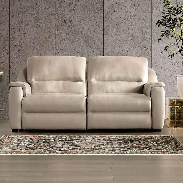 ALTAMURA Power Loveseat, Gray & Beige - Furniture 4 Less Outlet (Salinas,CA)