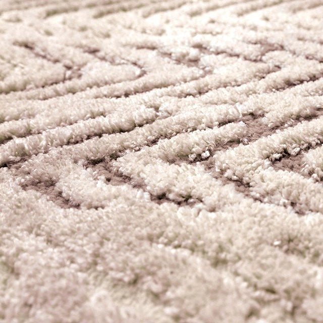 Millsboro Area Rug
