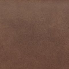 Status Check Recliner - Furniture 4 Less Outlet (Salinas,CA)