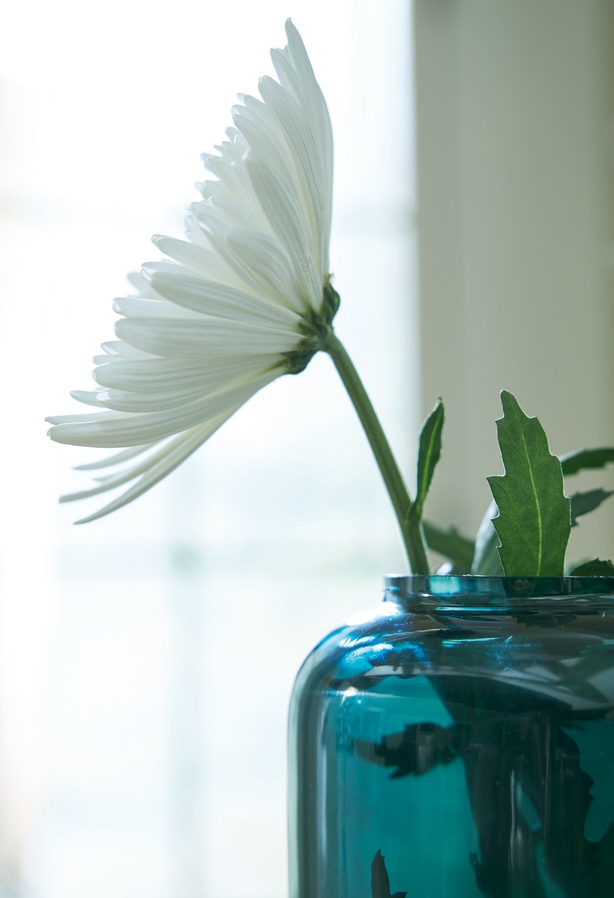 Inisland Vase - Furniture 4 Less Outlet (Salinas,CA)