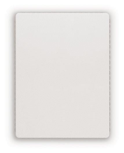 Terra Sleep Firm Mattress - Furniture 4 Less Outlet (Salinas,CA)