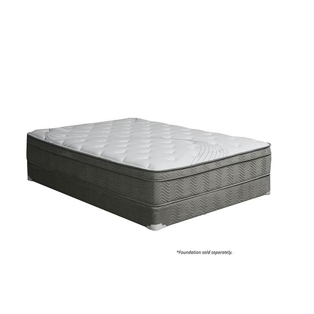 Afton 12 Euro Box Pocket Coil - Furniture 4 Less Outlet (Salinas,CA)