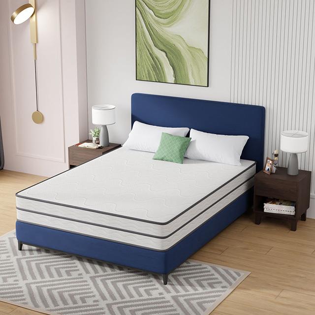 Catmint Mattress - Furniture 4 Less Outlet (Salinas,CA)