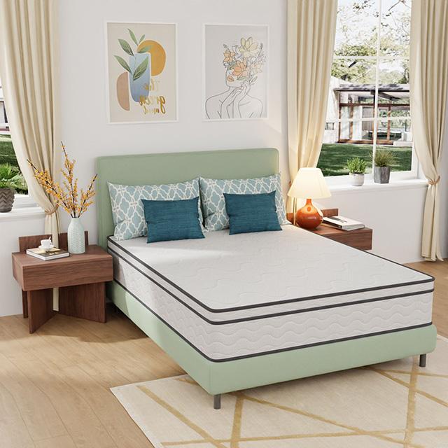 Catmint Mattress - Furniture 4 Less Outlet (Salinas,CA)