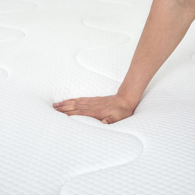 Catmint 10" Queen Innerspring Mattress - Furniture 4 Less Outlet (Salinas,CA)