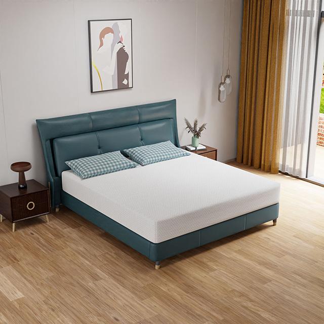 Forsythia 10" E.King Green Tea Gel Memory Foam - Furniture 4 Less Outlet (Salinas,CA)