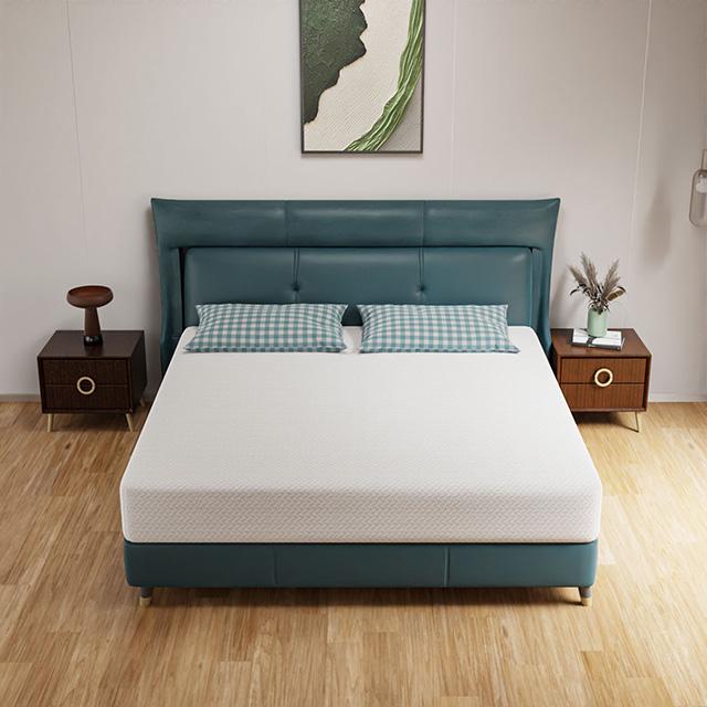 Forsythia 10" E.King Green Tea Gel Memory Foam - Furniture 4 Less Outlet (Salinas,CA)