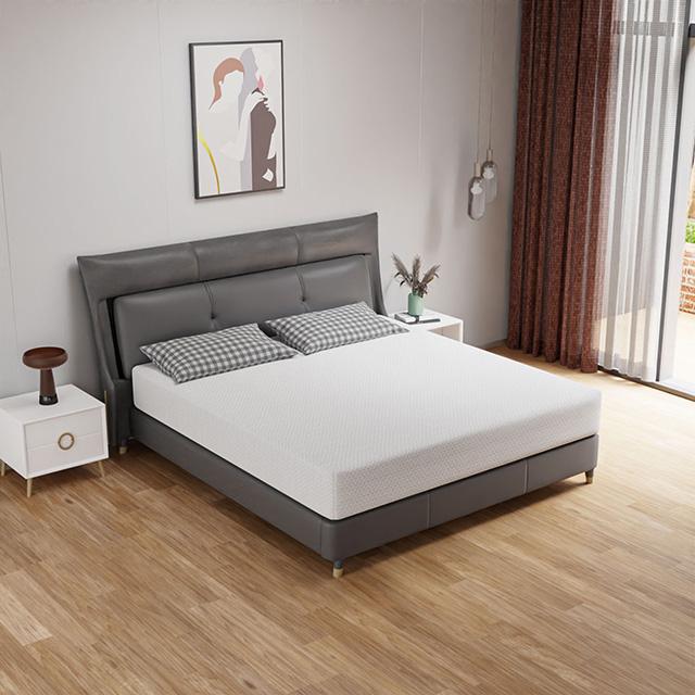 Forsythia 10" Queen Green Tea Gel Memory Foam - Furniture 4 Less Outlet (Salinas,CA)