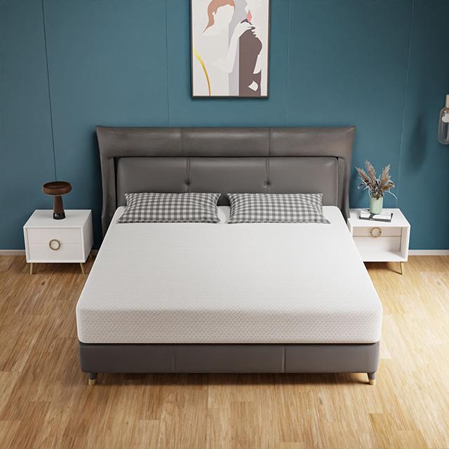 Forsythia 10" Queen Green Tea Gel Memory Foam - Furniture 4 Less Outlet (Salinas,CA)