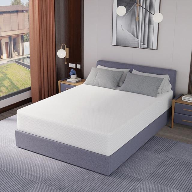Forsythia 12" Queen Green Tea Gel Memory Foam - Furniture 4 Less Outlet (Salinas,CA)