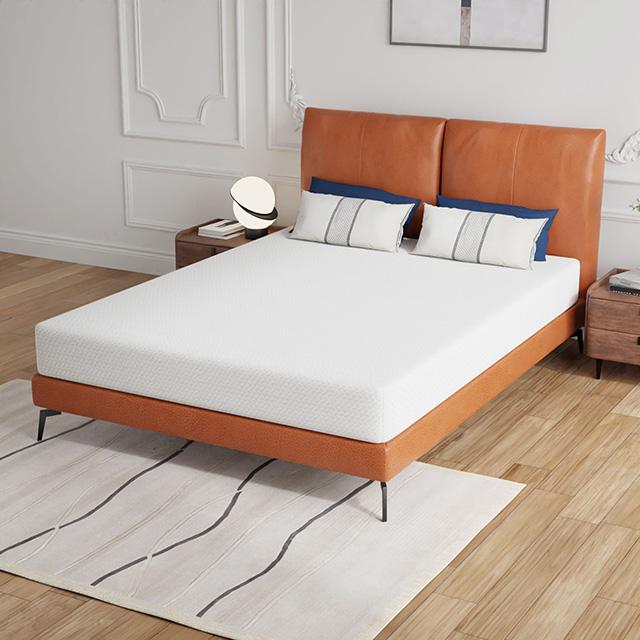 Forsythia 8" Queen Green Tea Gel Memory Foam - Furniture 4 Less Outlet (Salinas,CA)