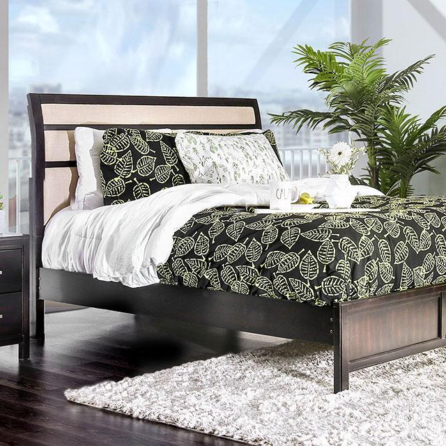 Berenice Bed Purple Brown - Furniture 4 Less Outlet (Salinas,CA)