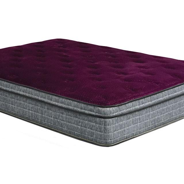 Purple/Grey 13" Euro Pillow Top Mattress Non-Flip, Full - Furniture 4 Less Outlet (Salinas,CA)