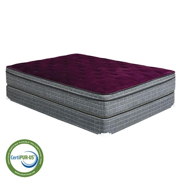 Purple/Grey 13" Euro Pillow Top Mattress Non-Flip, Full - Furniture 4 Less Outlet (Salinas,CA)
