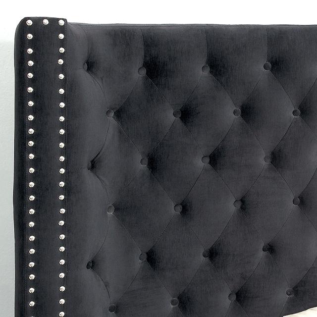 ROSABELLE Queen Bed, Black - Furniture 4 Less Outlet (Salinas,CA)