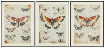 Jossletts Wall Art (Set of 3) - Furniture 4 Less Outlet (Salinas,CA)