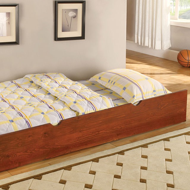 Carus Twin Bed - Furniture 4 Less Outlet (Salinas,CA)