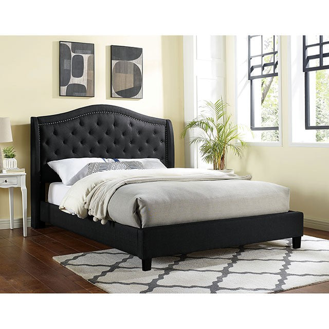Carly Queen Bed - Furniture 4 Less Outlet (Salinas,CA)
