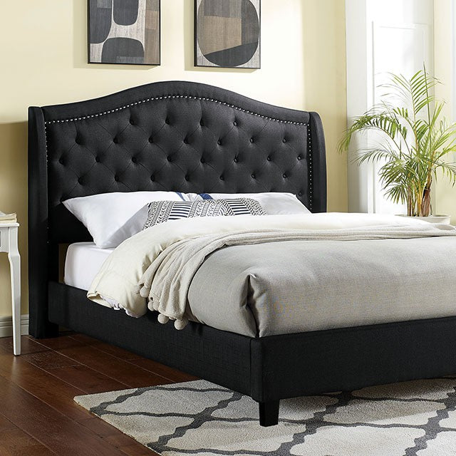 Carly Queen Bed - Furniture 4 Less Outlet (Salinas,CA)