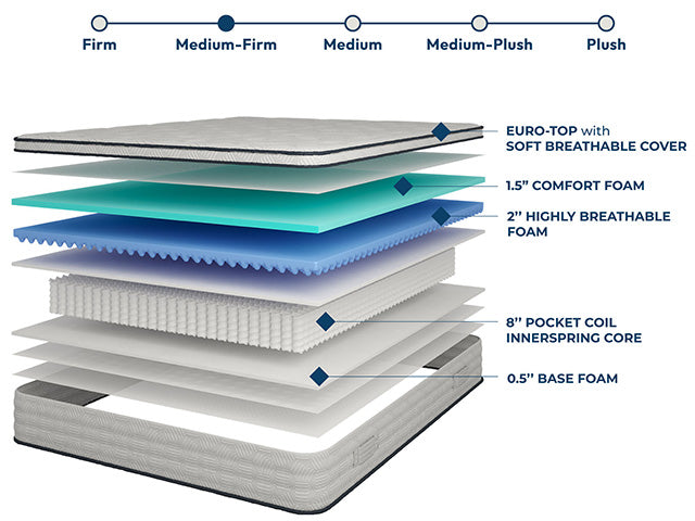 Salvia 12" Queen Hybrid Pocket Coil Mattress - Furniture 4 Less Outlet (Salinas,CA)