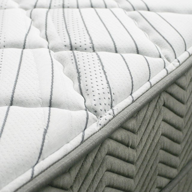 EDREA White/Gray 10" Tight Top Pocket Coil, E.King - Furniture 4 Less Outlet (Salinas,CA)